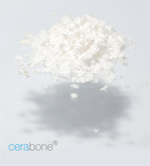 Cerabone®
