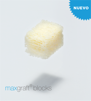 Maxgraft® Blocks